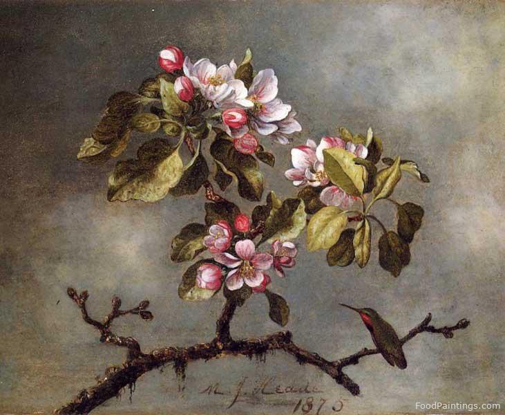 Apple Blossoms and Hummingbird - Martin Johnson Heade - 1875