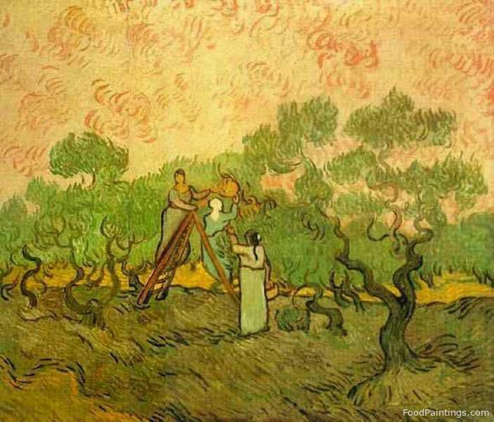 Olive Picking - Vincent van Gogh - 1889