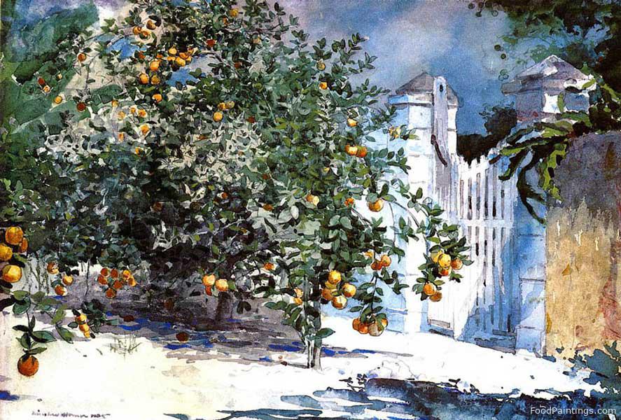 Orange Tree, Nassau (Orange Trees and Gate) - Winslow Homer - 1885