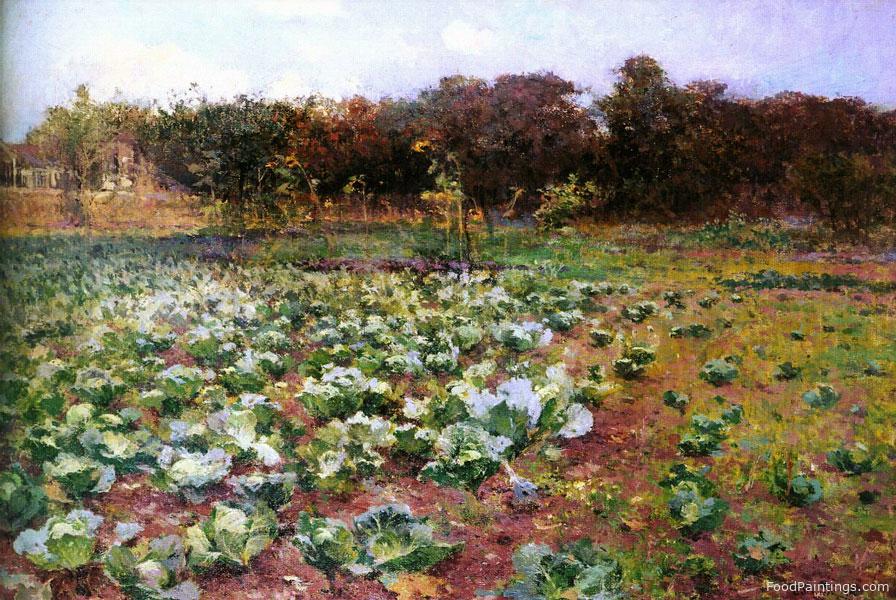 A Cabbage Field - Antonin Slavicek
