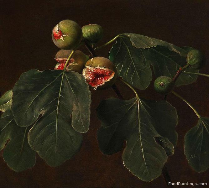A Fig Branch - Johan Laurentz Jensen