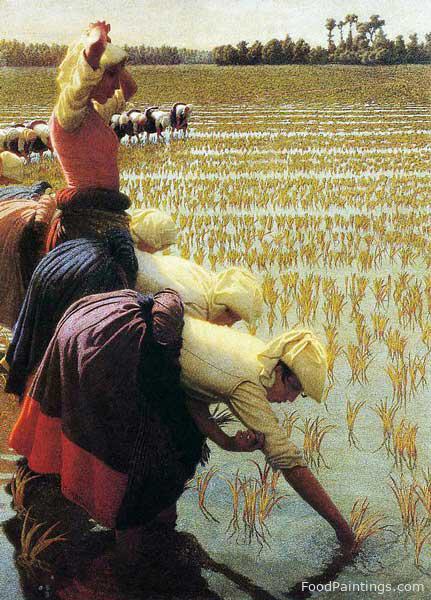 An Italian Rice Field - Angelo Morbelli - 1901