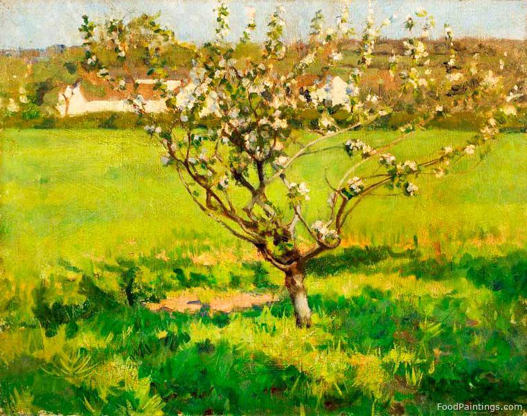 Apple Blossom - Domenico D. J. Barnett