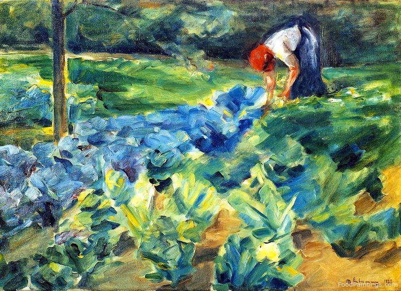 Cabbage Field - Max Liebermann - 1923