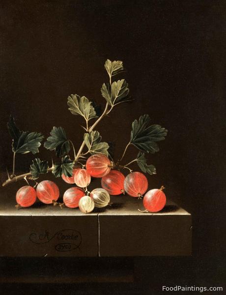 Gooseberries on a Table - Adriaen Coorte - 1701