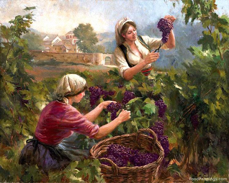 Grape Harvest - Nenad Markovich