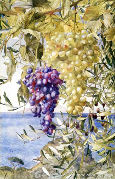 Grapes and Olives - Henry Roderick Newman - 1878