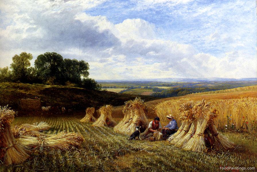 Harvest Field - George Cole, Snr. - 1866