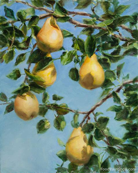 In a Pear Tree - Teresa Vito