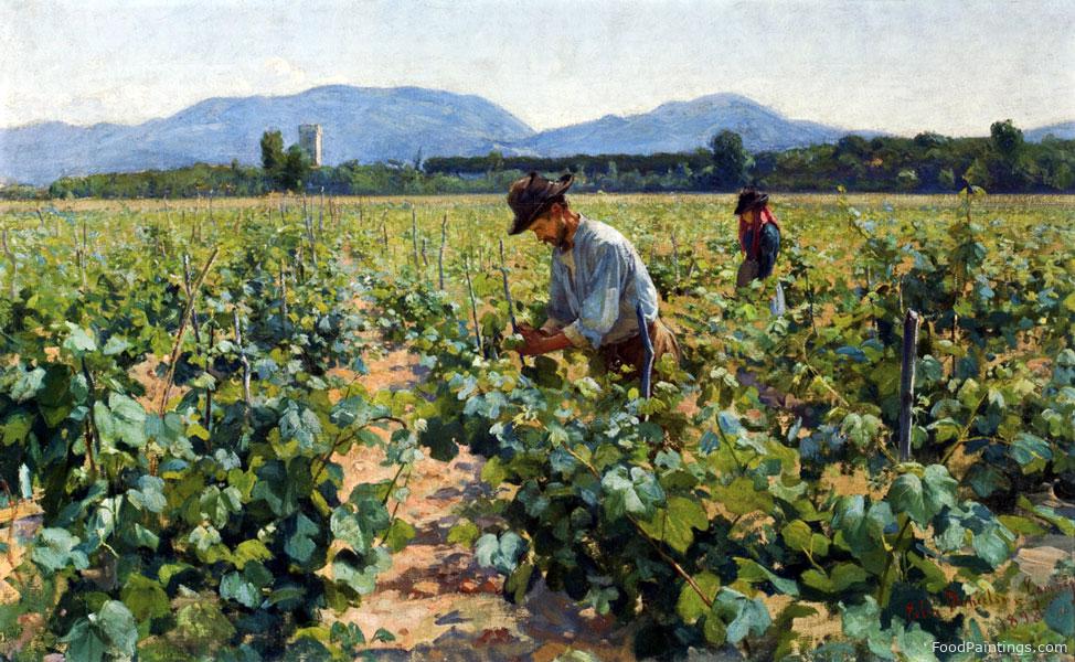 In the Vineyard - Elin Danielson Gambogi - 1898