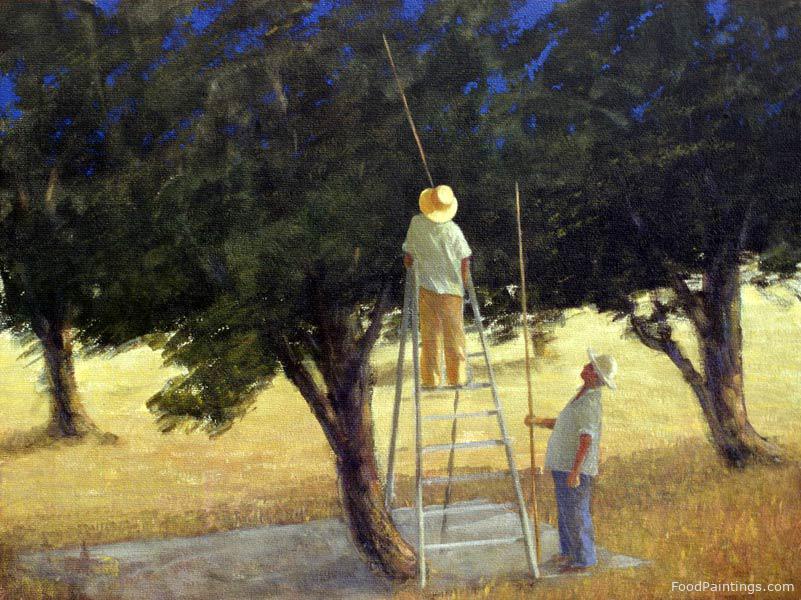 Olive Pickers - Lincoln Seligman - 1985