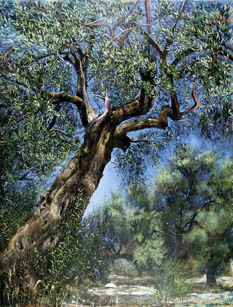 Olive Tree - Maria Ktistopoulou - 2006