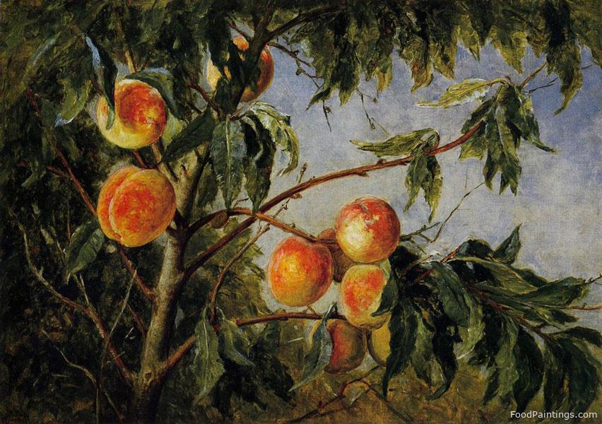 Peaches - Worthington Whittredge - 1894
