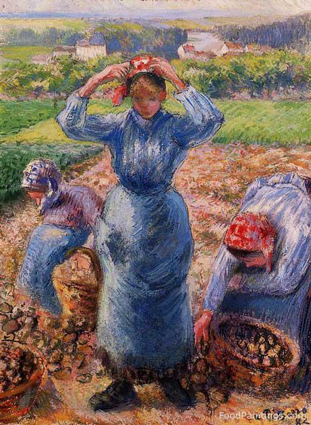 Peasants Harvesting Potatoes - Camille Pissarro - 1882