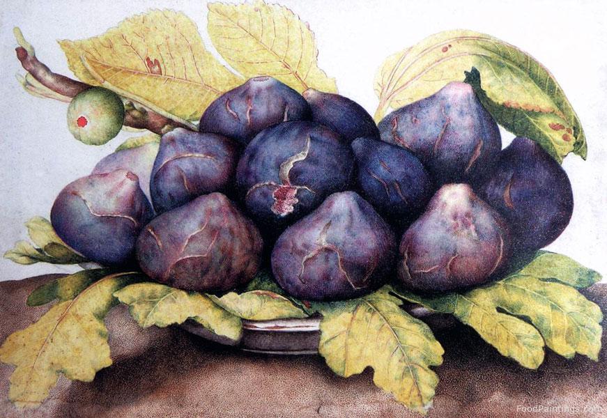 Plate of Figs - Giovanna Garzoni - c. 1661-1662
