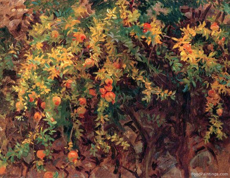 Pomegranates - John Singer Sargent - 1908