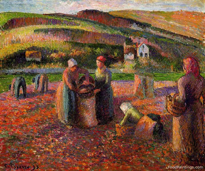 Potato Harvest - Camille Pissarro - 1893