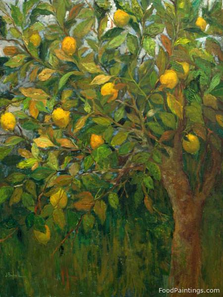 The Lemon Tree - Josefina Ripoll