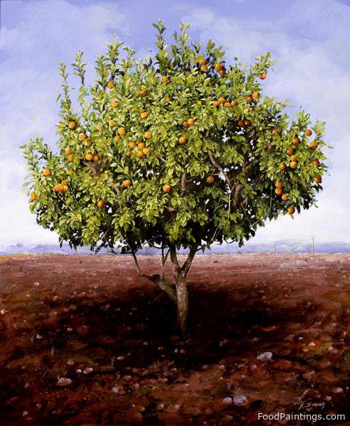 The Orange Tree - Costas Schinas