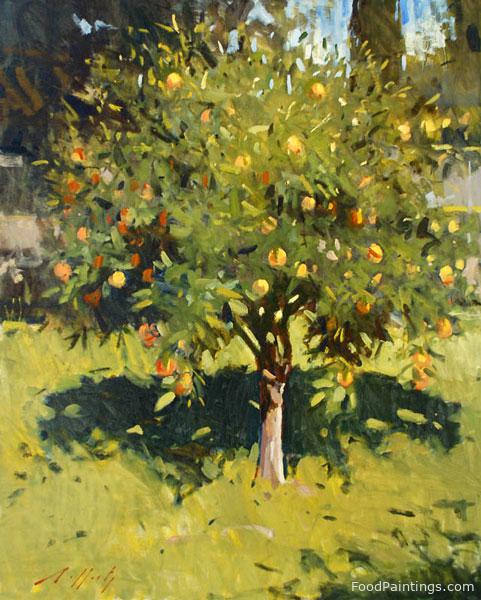 The Orange Tree - Paul Rafferty