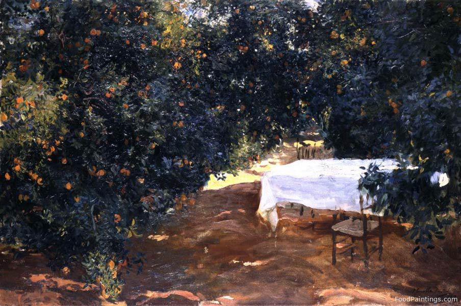 The Path in the Orange Grove, Alcira - Joaquin Sorolla - 1903
