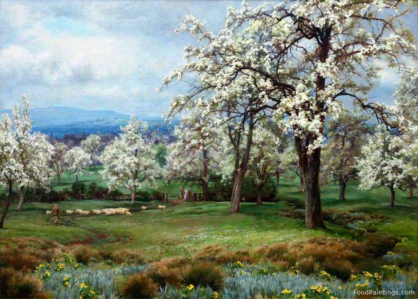 The Pear Orchard - Alfred William Parsons