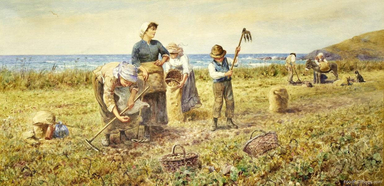 The Potato Harvest - Thomas James Lloyd - 1882