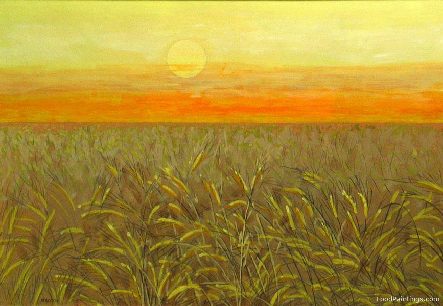 Wheat Field - Guy MacCoy