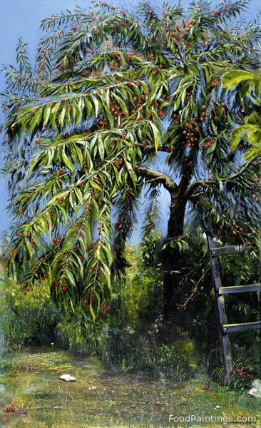 Cherry Tree - Maria Ktistopoulou - 2007