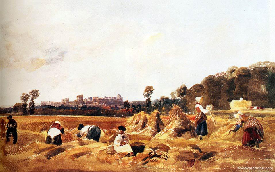 Cornfield, Windsor - Peter de Wint - 1841