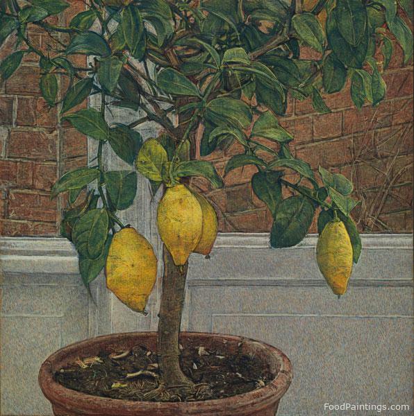 Lemon Tree - Anthony Williams - c. 2015