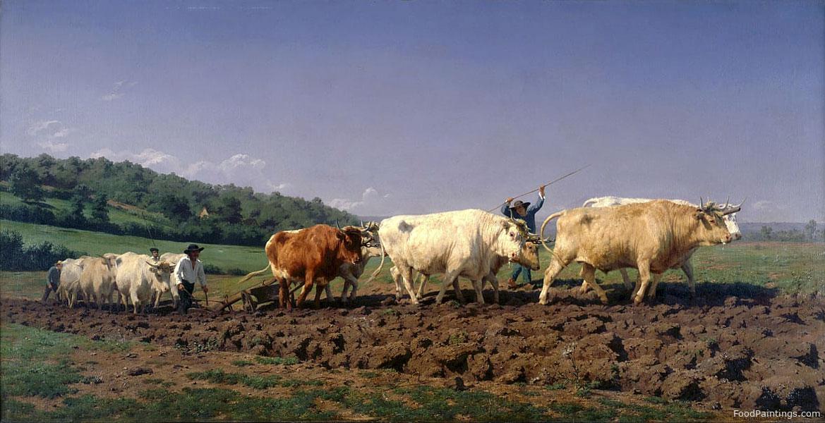 Ploughing in Nivernais - Rosa Bonheur - 1849