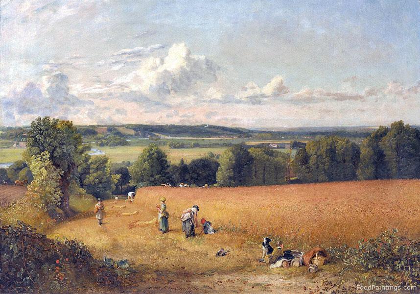The Wheat Field - John Constable - 1816