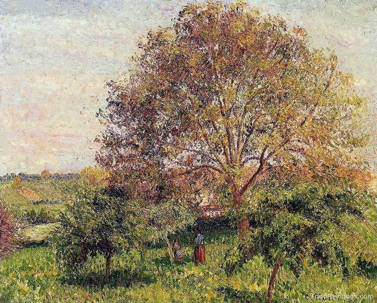 Walnut Tree in Spring - Camille Pissarro - 1894