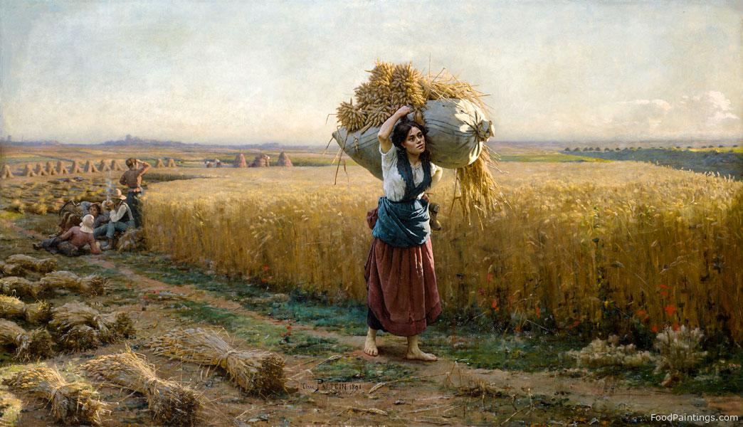 Wheat - Cesar Pattein - 1891