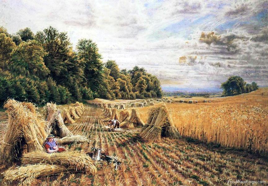 Amongst the Corn Stooks - Edmund George Warren - 1865