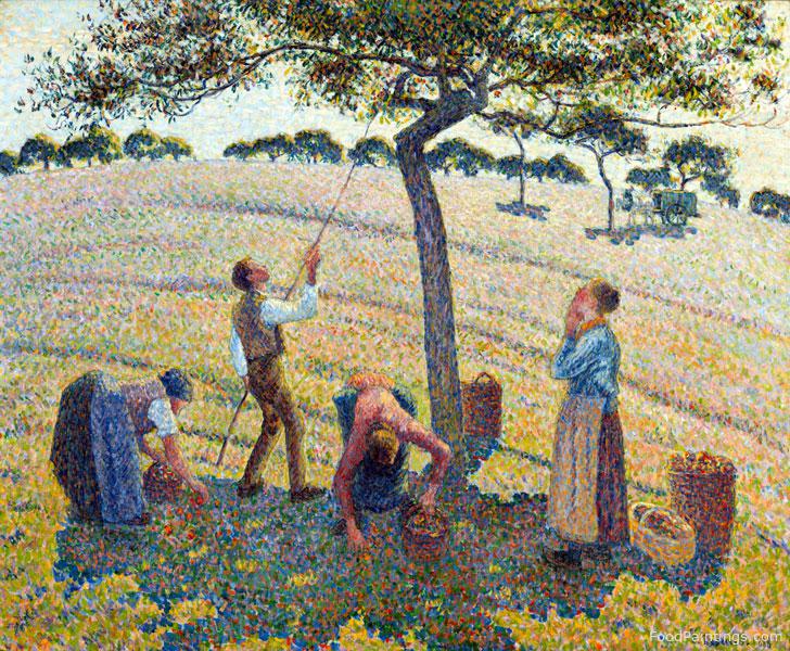 Apple Harvest - Camille Pissarro - 1888