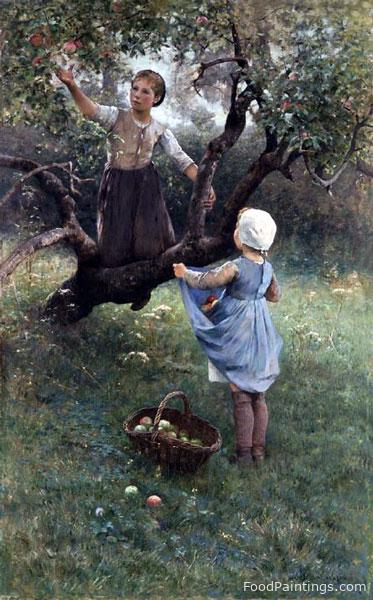 Girls Picking Fruit - Hugo Salmson