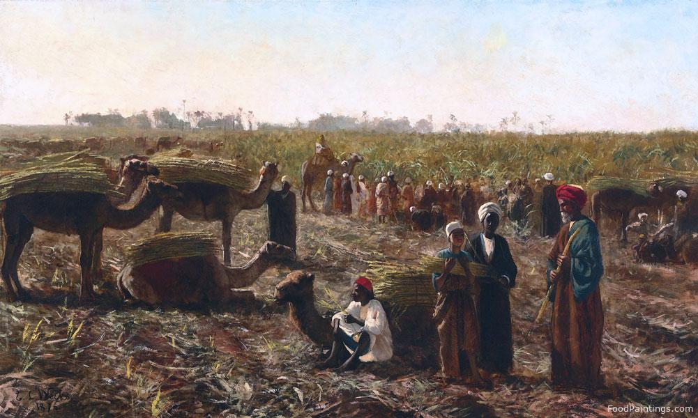 Harvesting the Wheat - Edwin Lord Weeks