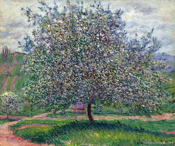 The Apple Tree - Claude Monet - 1879