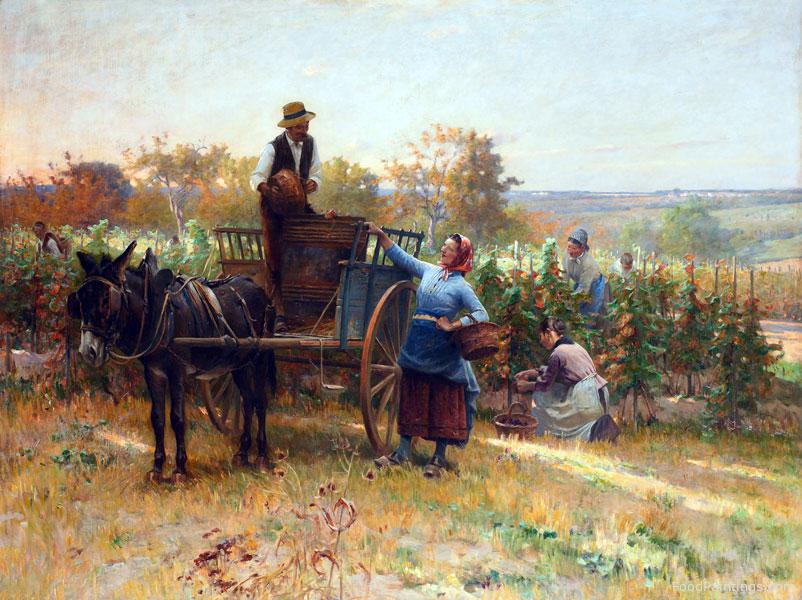 The Grape Harvest - Adrien Moreau