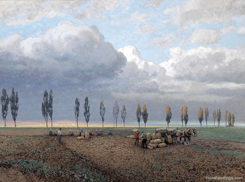 The Potato Harvest in Marchfeld - Rudolf Weber - 1925