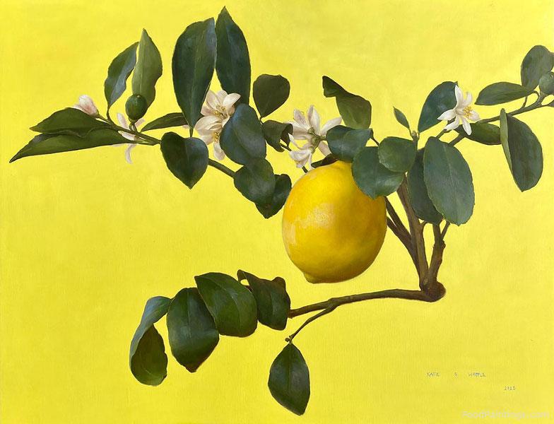 Citrus Limon - Katie G. Whipple - 2020